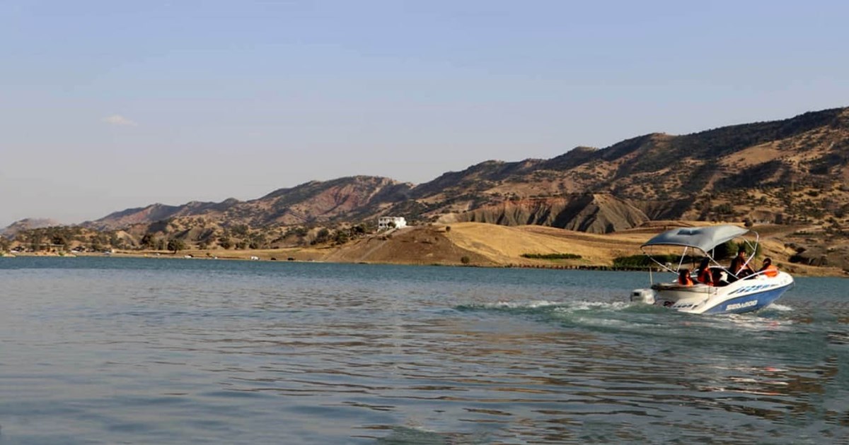 د.کاروان